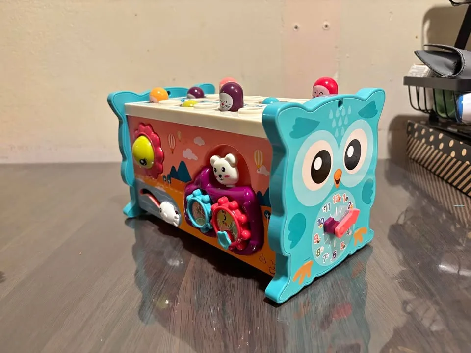 Learning Owl Multi-Activity thumbnail