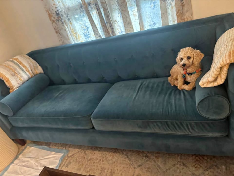 Blue velvet sofa