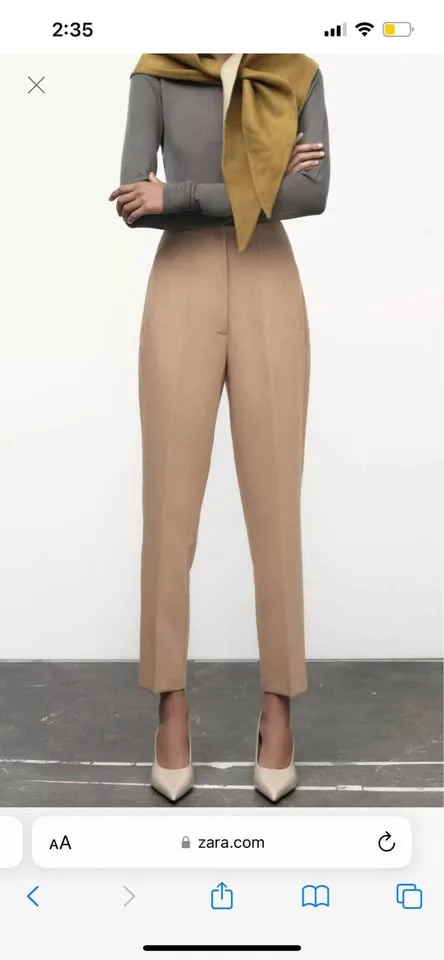 Zara Pleated Work Dress Pants - Women Large image indicator(2)