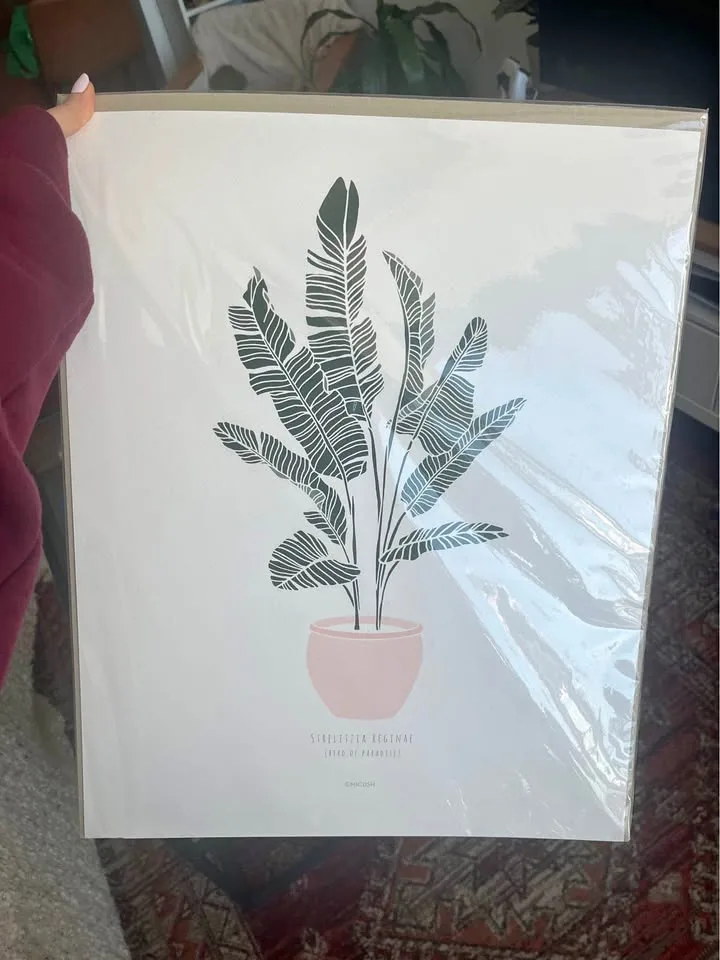 Plant Print Artwork 16x20” @micush thumbnail