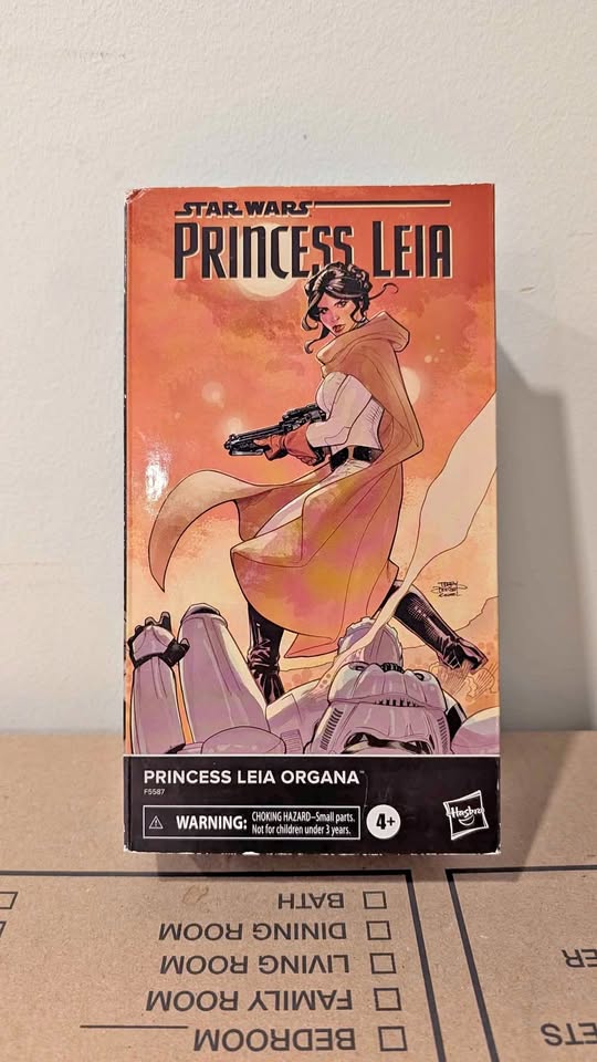 Hasbro Star Wars Black Series Princess Leia 6" Figure