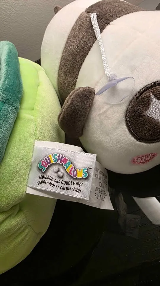 Plush soft toys - Panda and Squishmallow HENRY TURTLE image indicator(4)