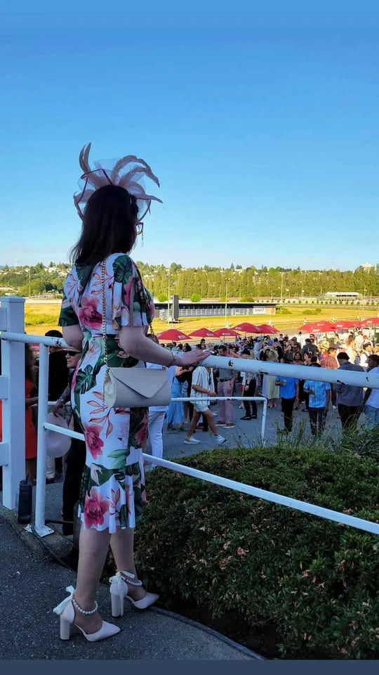 Gorgeous Joseph Ribkoff dress image indicator(2)