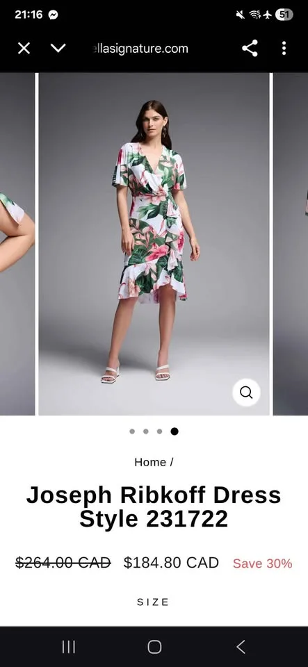 Gorgeous Joseph Ribkoff dress image indicator(4)