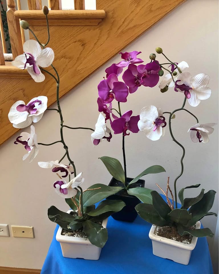 Three Artificial Orchids in pot containers - photo 3