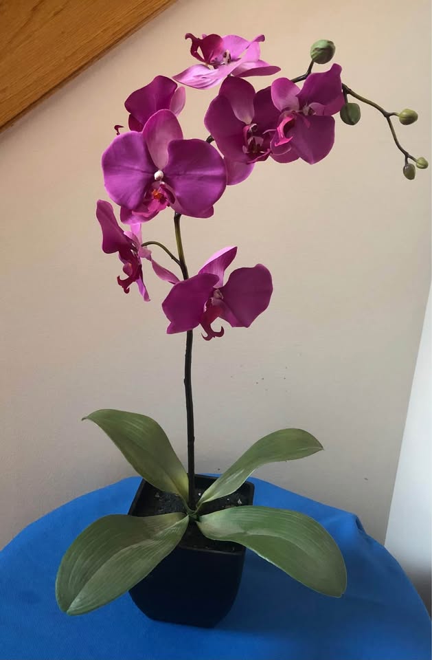 Three Artificial Orchids in pot containers - photo 4
