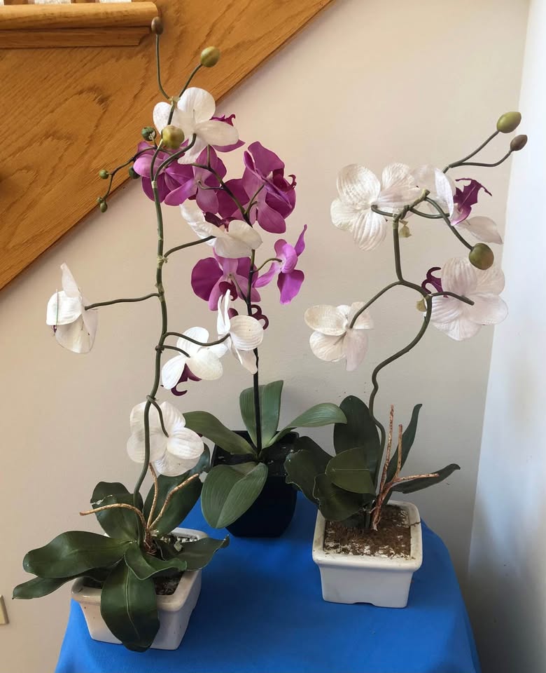 Three Artificial Orchids in pot containers - photo 5
