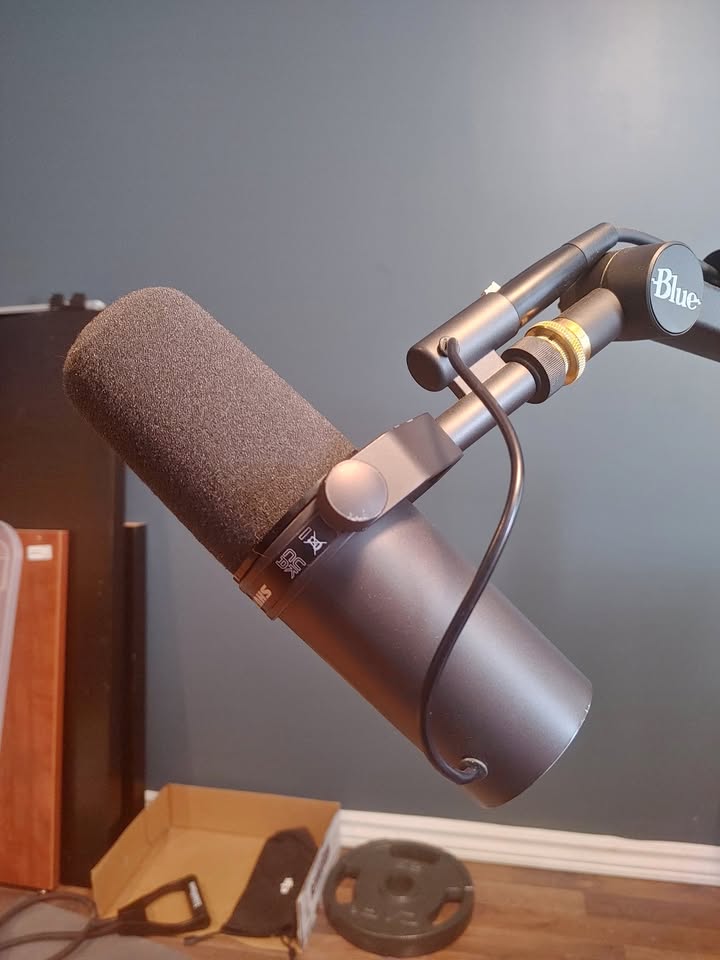 Microphone Shure SM7B (câble XLR inclus)