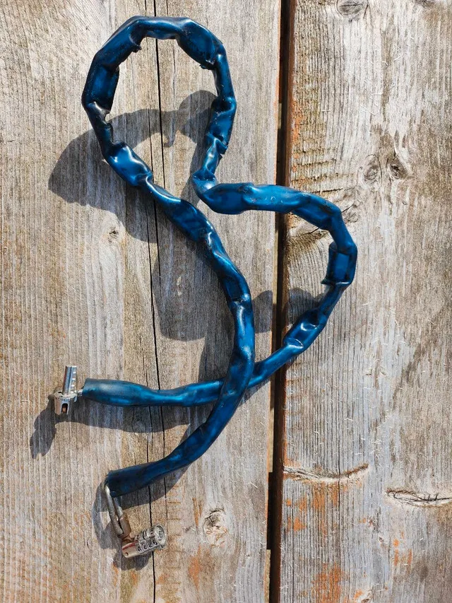 Blue Bike Lock thumbnail