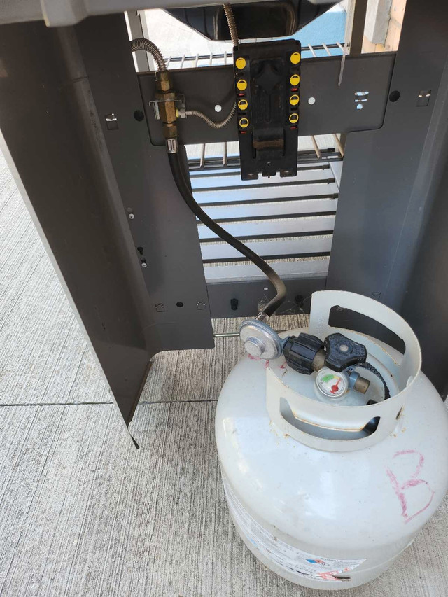 Weber genesis II special edition GS4 - photo 3