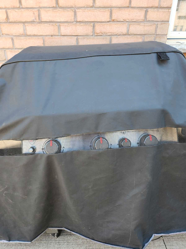 Weber genesis II special edition GS4 - photo 4