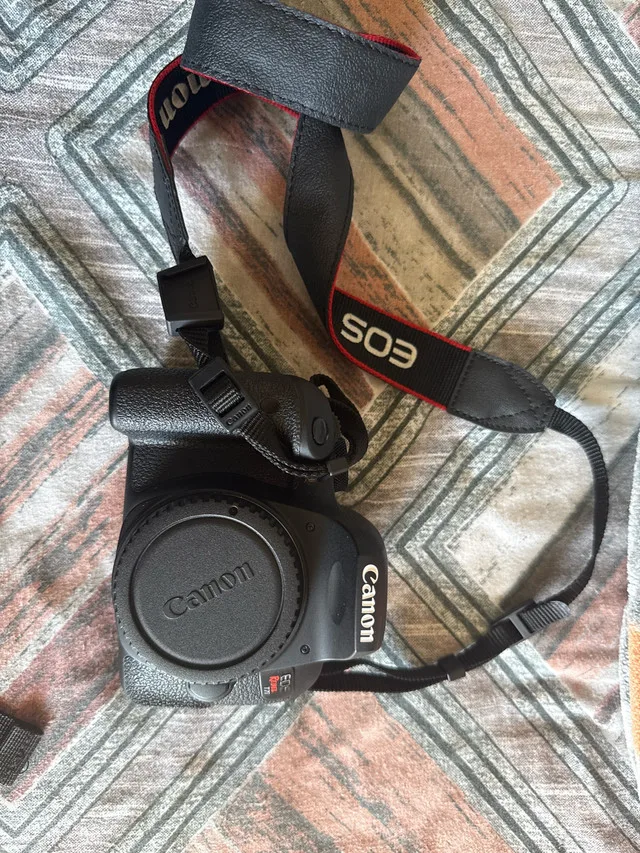 Canon EOS T7i image indicator(2)