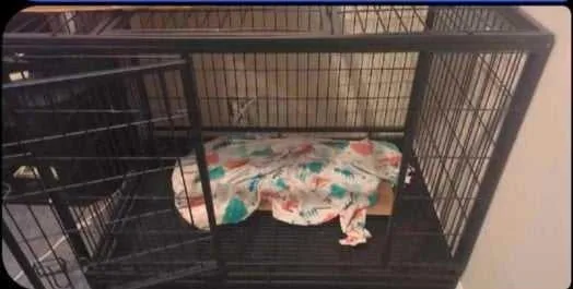 Moving sale - contact - image indicator(3)