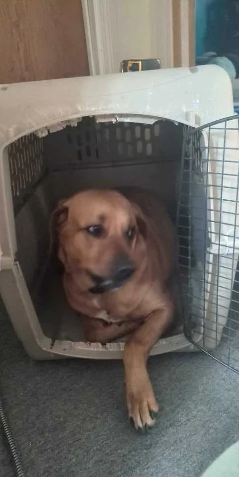 Moving sale - contact - image indicator(4)