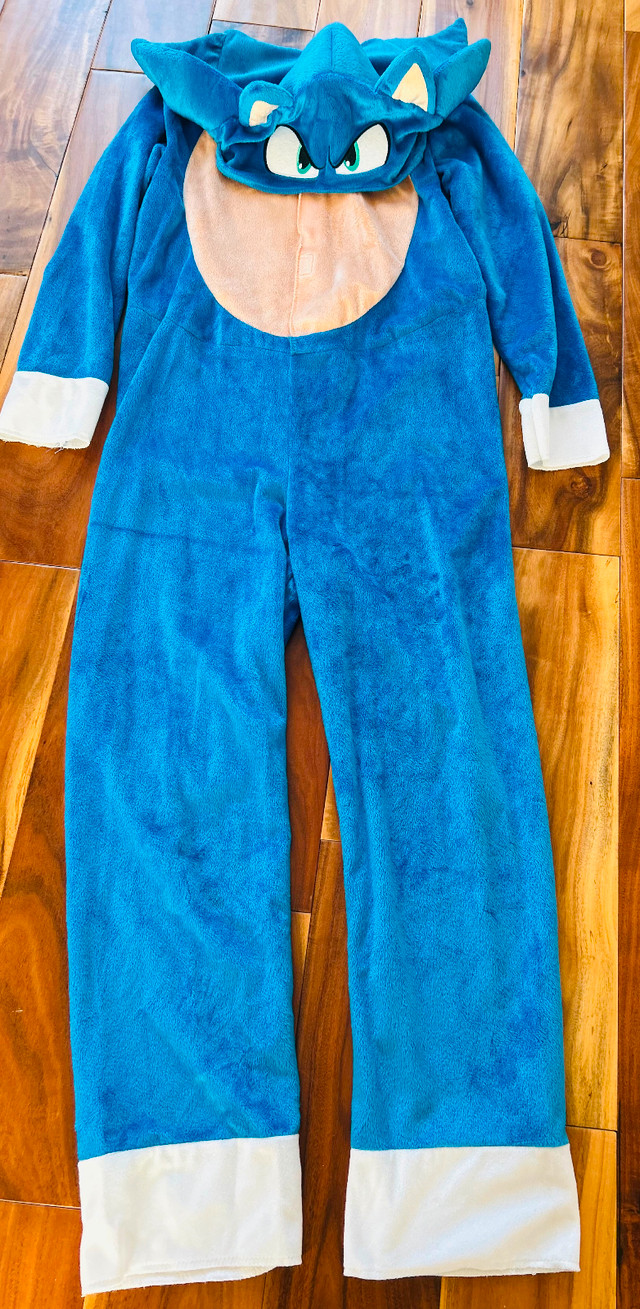 Authentic Sonic Costume with Headpiece, Kids L - photo 3