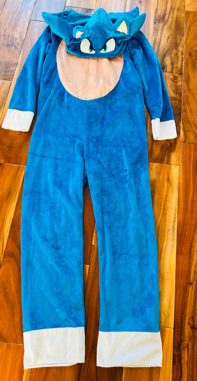 Authentic Sonic Costume with Headpiece, Kids L - photo 4