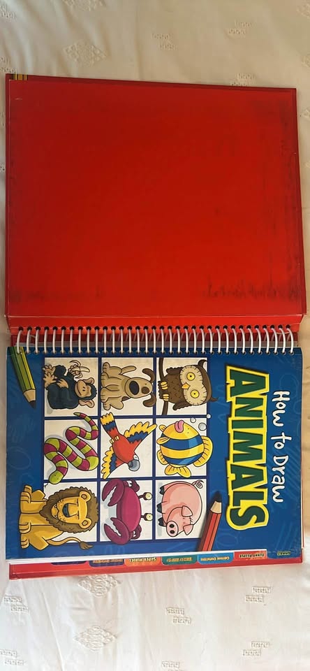 501 Things to Draw - photo 2