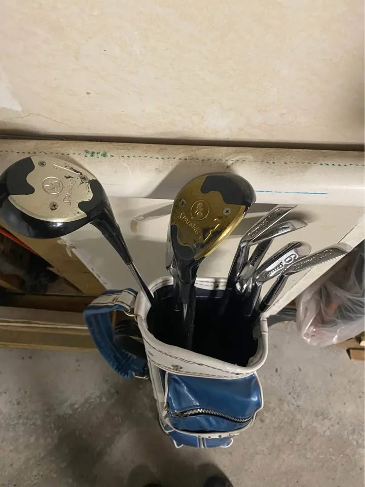 Vintage golf bag and golf clubs image indicator(2)