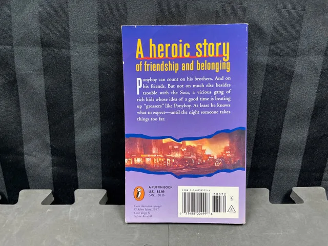 The Outsiders by S.E. Hinton image indicator(2)