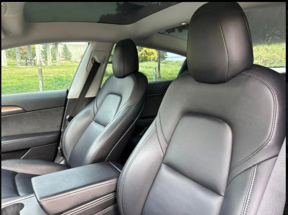 2021 Tesla 3 Standard Range Plus image indicator(2)