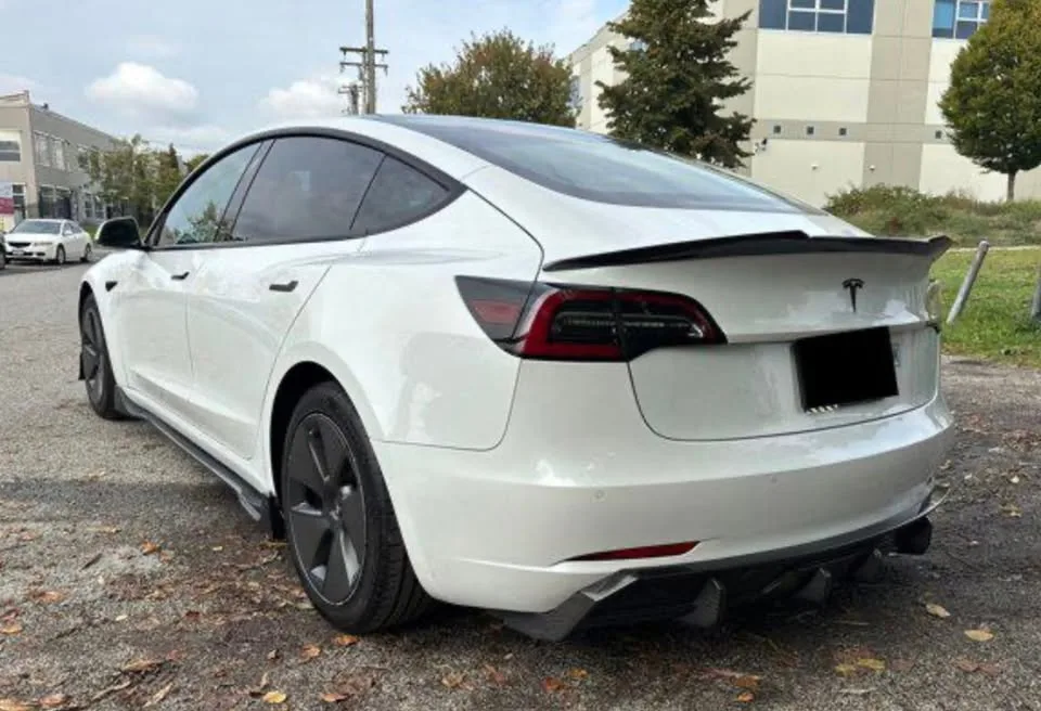 2021 Tesla 3 Standard Range Plus image indicator(5)