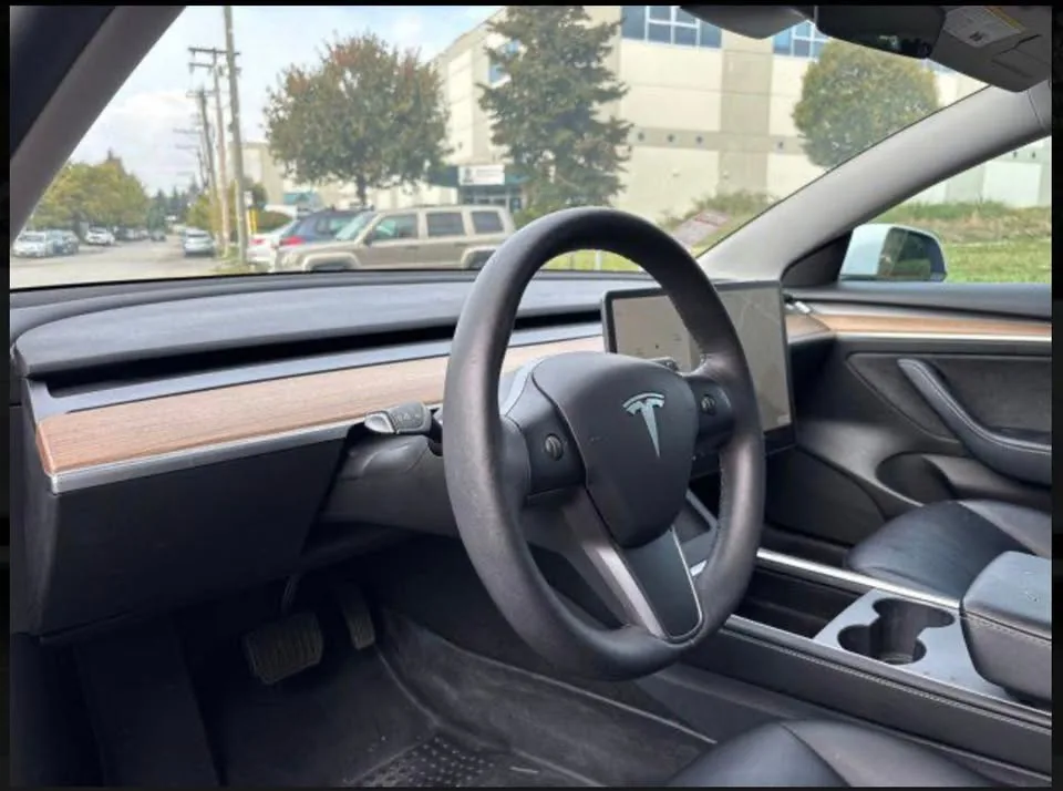 2021 Tesla 3 Standard Range Plus image indicator(7)