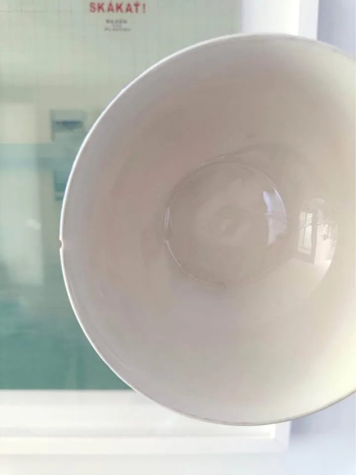 Lauren Ralph Lauren Plates & Bowls image indicator(10)