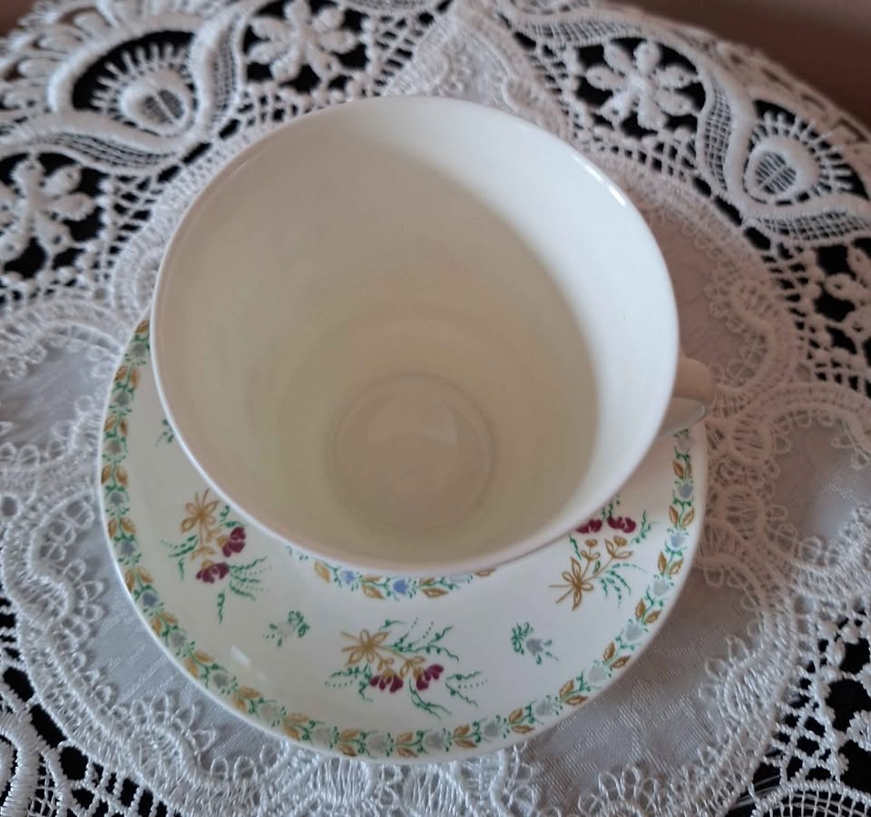 LFZ Lomonosov Cup and Saucer - photo 3