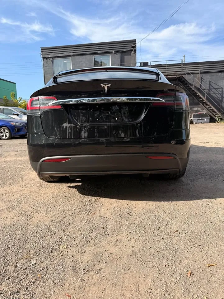 2017 Tesla Model X image indicator(4)