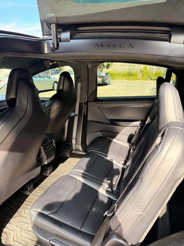 2017 Tesla Model X image indicator(7)