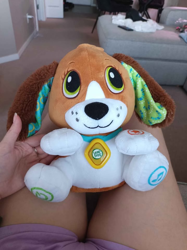 LeapFrog Speak & Learn Puppy (English Version) - photo 2