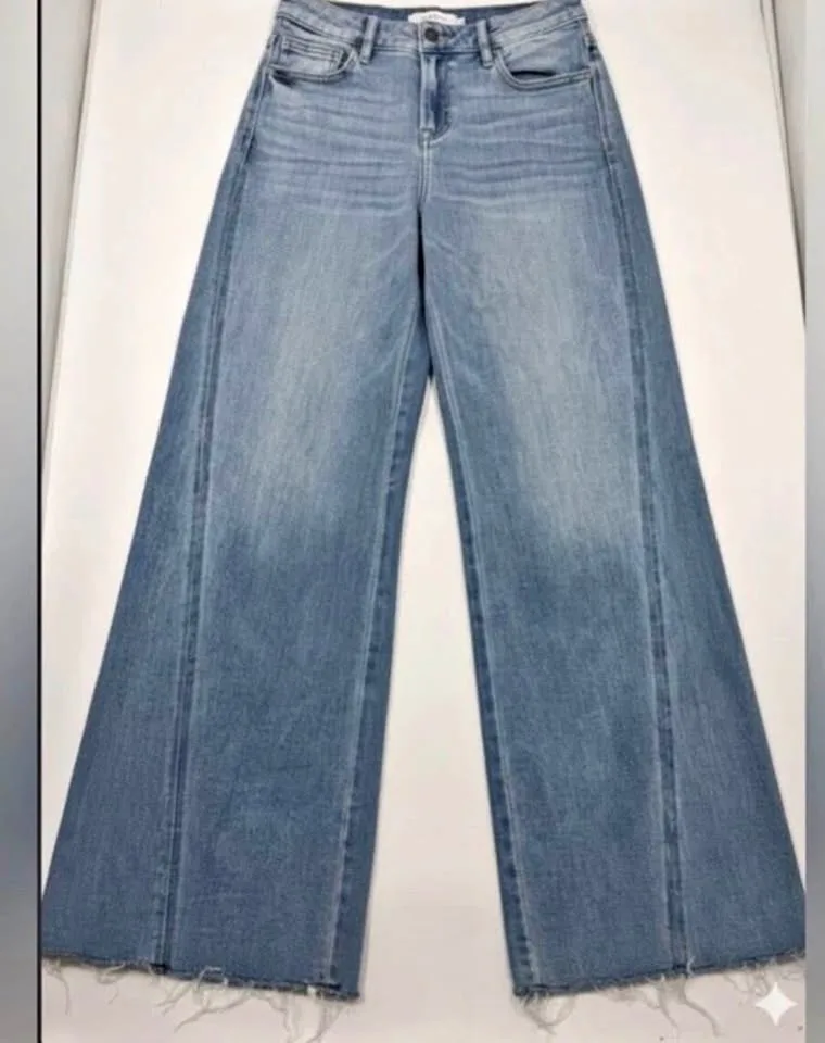 $189 HIDDEN Wide Leg Light Blue Jeans size 25 New thumbnail