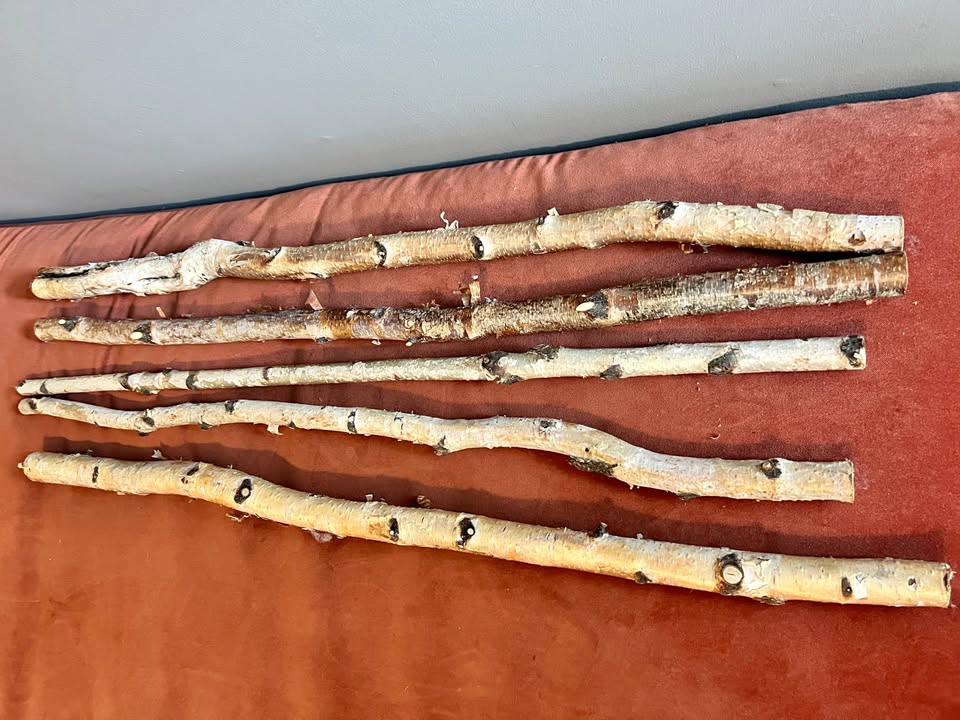 Fall Winter Christmas Decor - 5x 3' Birch Branches