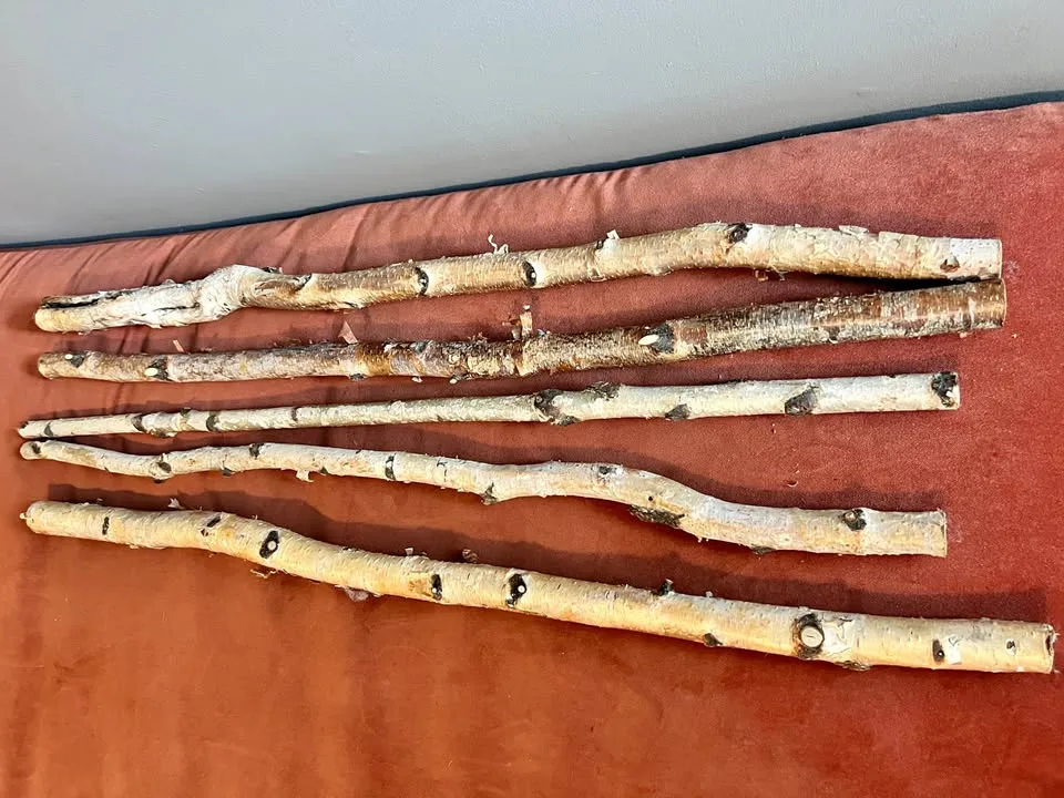 Fall Winter Christmas Decor - 5x 3' Birch Branches