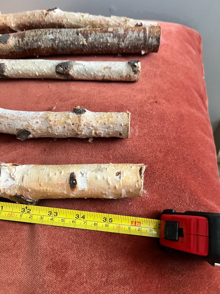 Fall Winter Christmas Decor - 5x 3' Birch Branches - photo 2