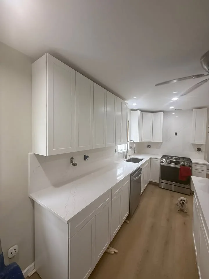 White/Calacatta Quartz Countertops image indicator(4)