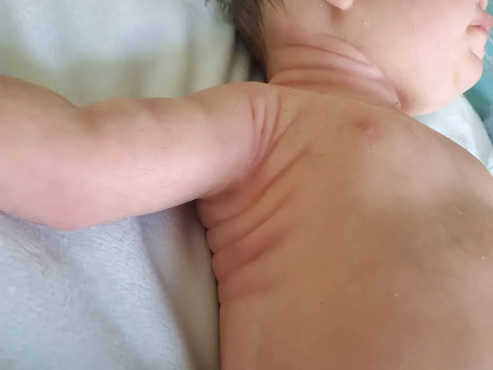 Full Body Silicone Ecoflex 20 Doll by Alejandra De Zuniga image indicator(7)