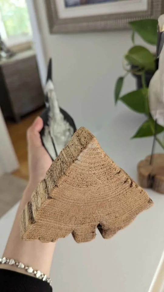 Painted Bird Sculptures by Richard A. Morgan 🧡 image indicator(4)