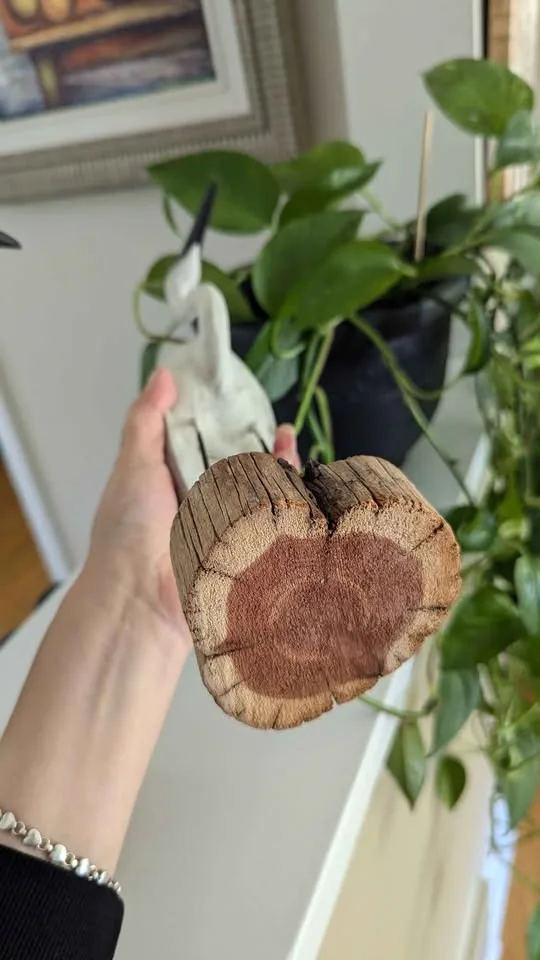 Painted Bird Sculptures by Richard A. Morgan 🧡 image indicator(6)