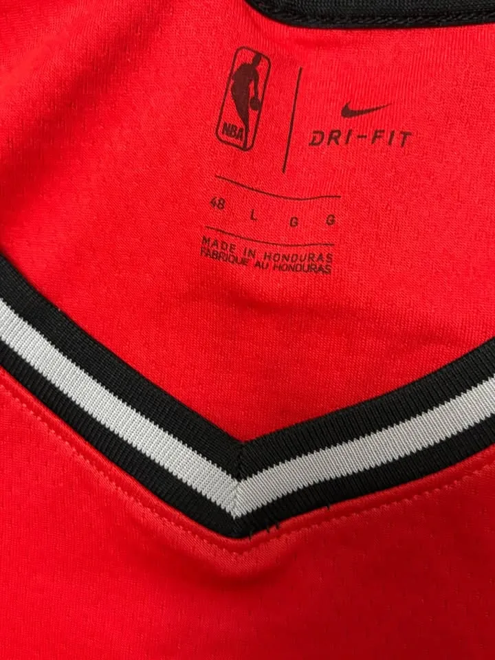 Lowry raptors jersey image indicator(2)