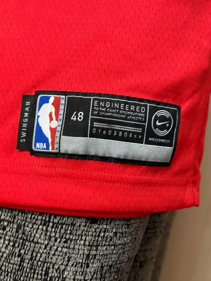 Lowry raptors jersey image indicator(3)