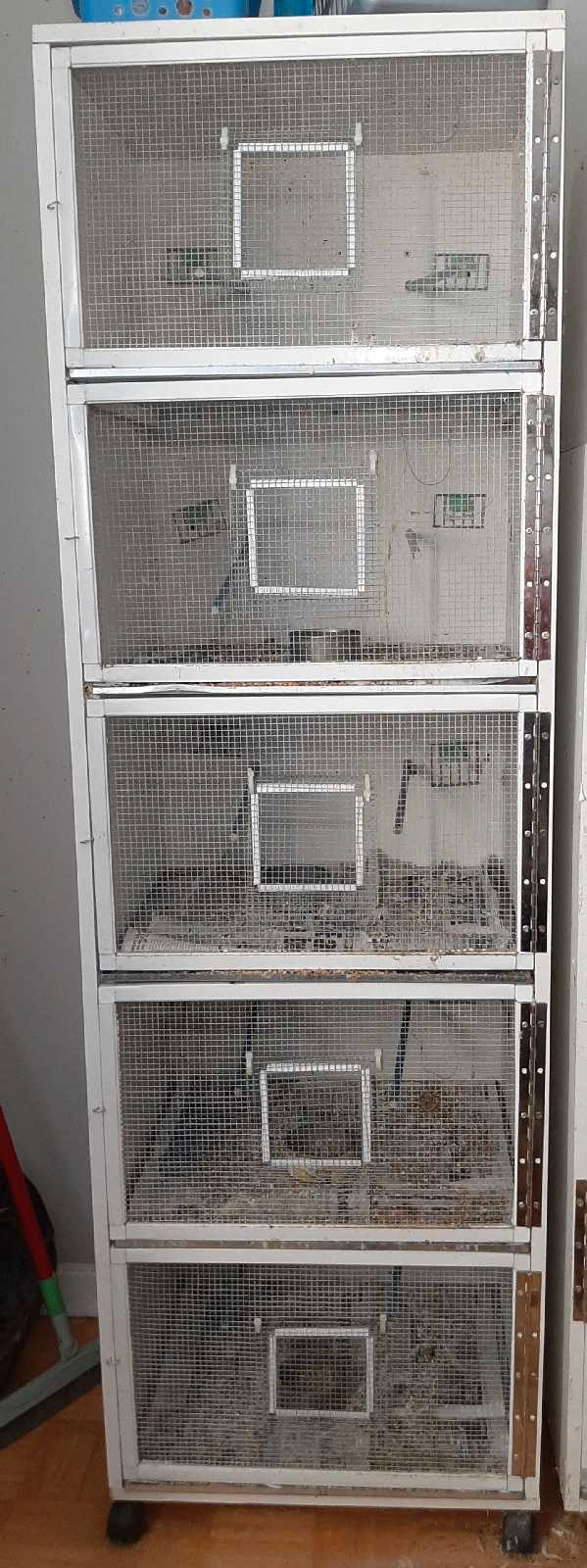 Small bird cages