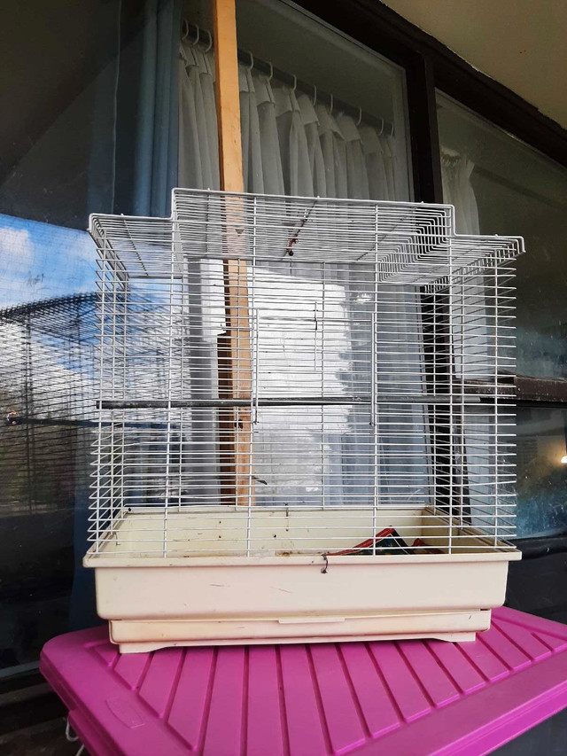 Big cage bird