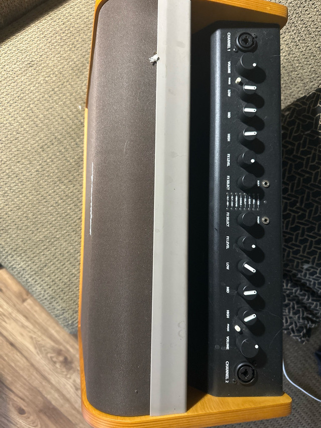 Fender Acoustic 100 - photo 2