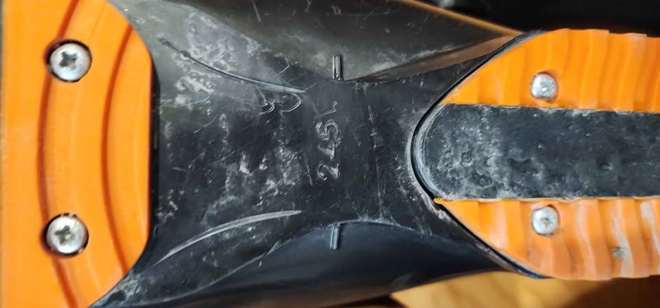 ROSSIGNOL Ski Boots. Size 24.5 - photo 4