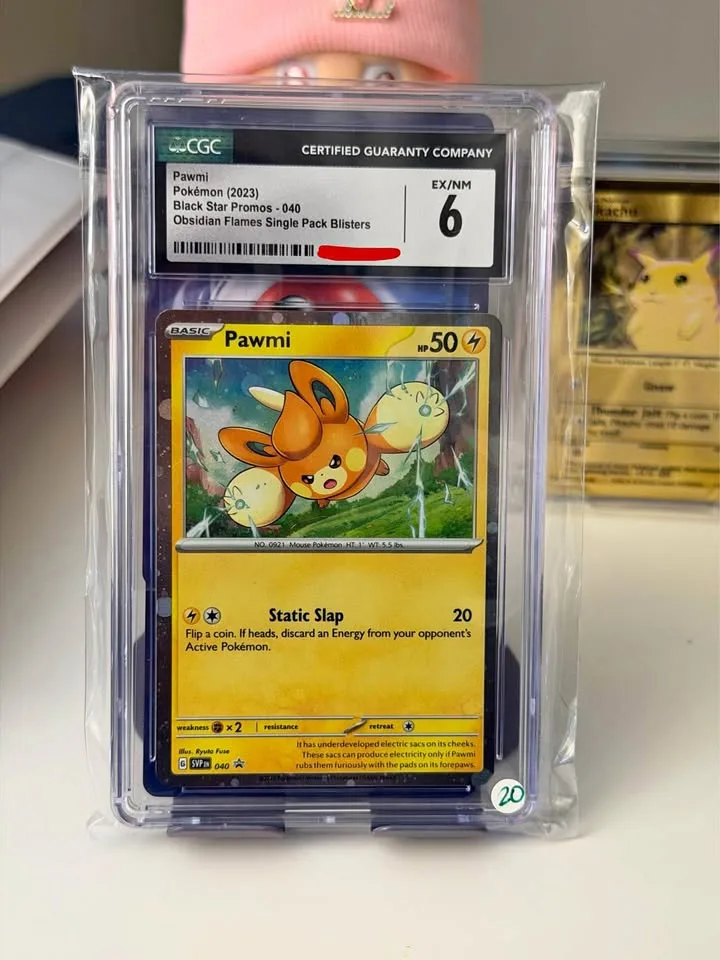 Slab Pawmi thumbnail