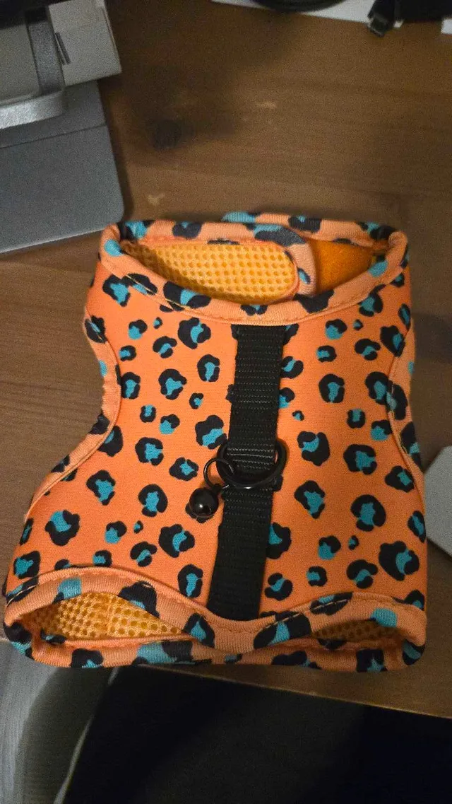 Whisker City Cat Vest Harness & Leash - Size Kitten image indicator(3)