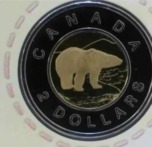 2004 Royal Canadian Mint Baby Gift Set image indicator(4)
