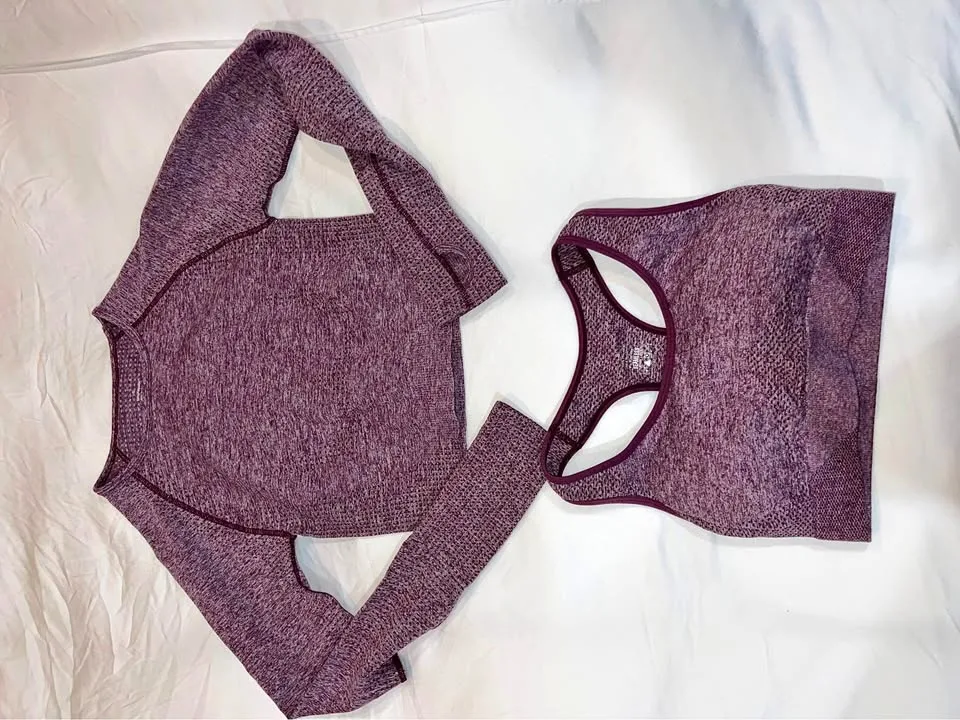 Seamless Cropped Long Sleeve and Sports Bra Set