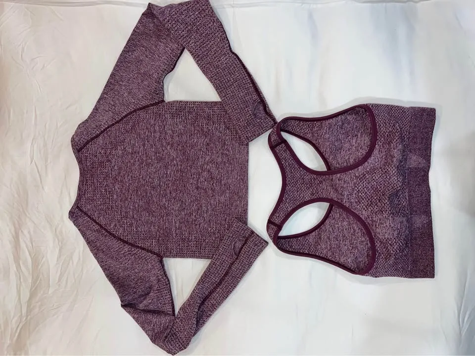 Seamless Cropped Long Sleeve and Sports Bra Set image indicator(2)